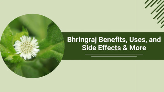 Bhringraj Health Benefits
