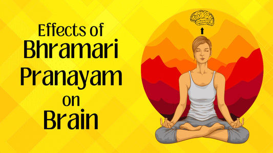 Effects of Bhramari Pranayam on Brain