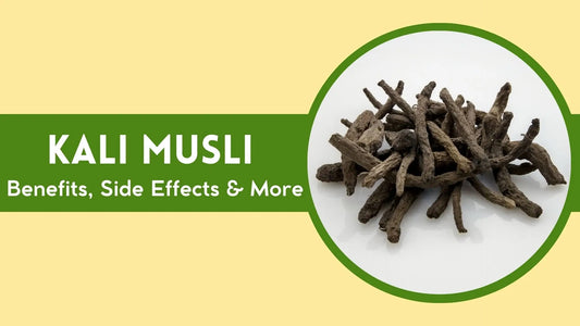 Kali Musli: Benefits, Side Effects, and Uses in Ayurveda