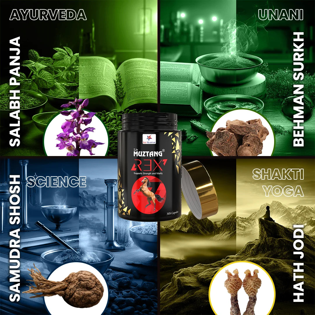 Liv Muztang REX power of 4
