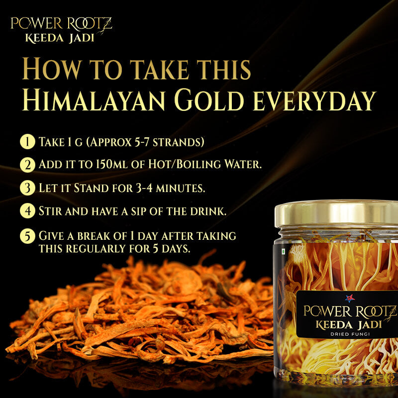 how to Cordyceps Militaris