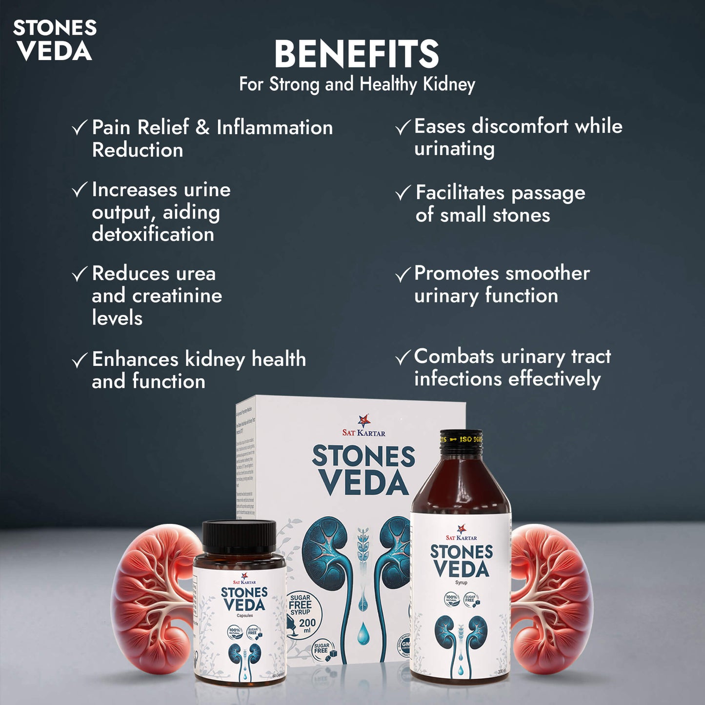 Stones Veda | Ayurvedic Medicine for Kidney Stone & Gall Bladder Stone | Kidney Stone Syrup | Stone Removal Capsules & Syrup | Kidney Stone Treatment Without Surgery