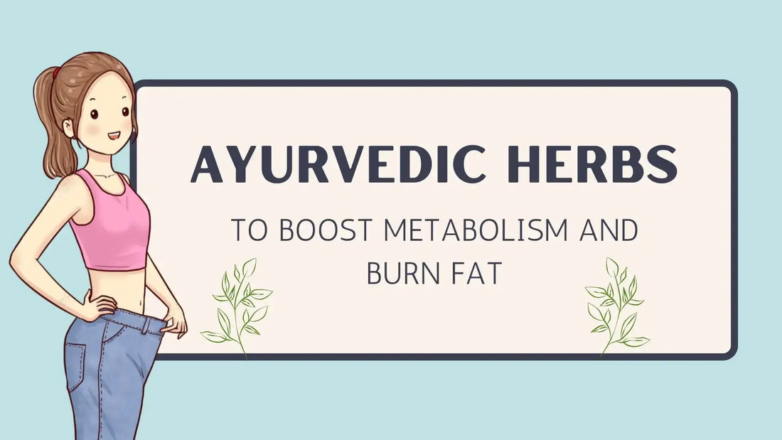 Best Ayurvedic Herbs to Boost Metabolism and Burn Fat