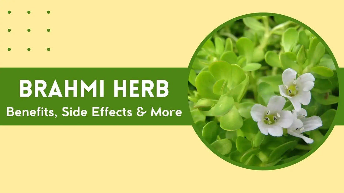 Brahmi (Bacopa monnieri): Benefits, Uses, Side Effects & More