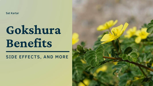 Gokshura Benefits For Health: Side Effects, and More
