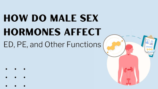 How Do Male Sex Hormones Affect ED, PE, and Other Functions