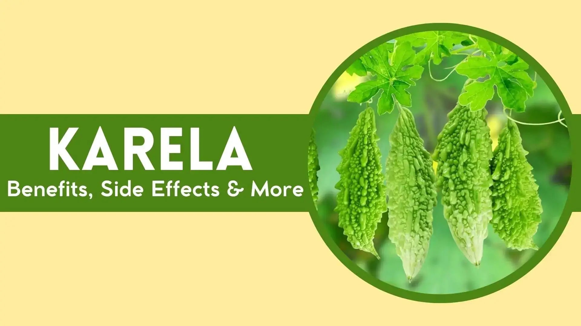 Kad Rela Karela Health Benefits: Side Effects, Uses and More