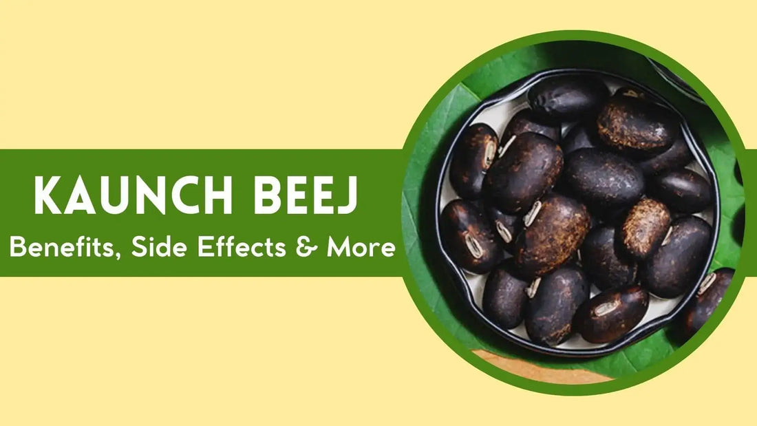 Kaunch Beej: Health Benefits, Side Effects & Uses