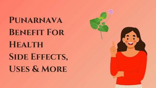 Punarnava Benefit For Health: Side Effects, Uses And More