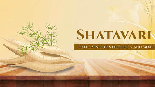 Shatavari Health Benefits, Side Effects, and More