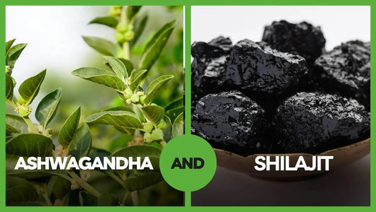 Shilajit and Ashwagandha