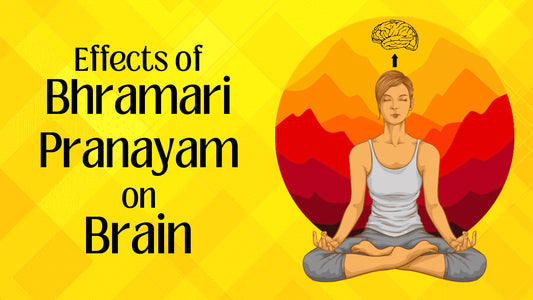 Effects of Bhramari Pranayam on Brain 