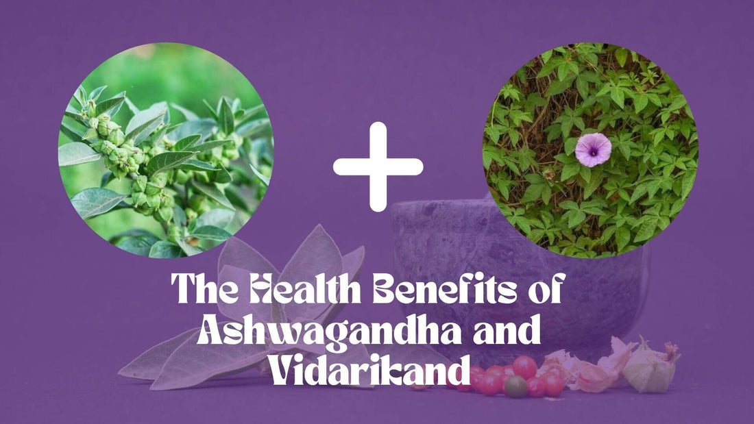 The Health Benefits of Ashwagandha and Vidarikand