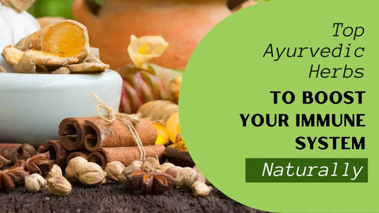 Top Ayurvedic Herbs to Boost Your Immune System Naturally