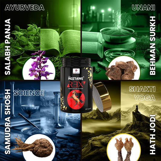 Liv Muztang REX | Ayurvedic Men’s Energy, Power & Stamina Booster Capsules