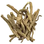 அக்கர்கரா 