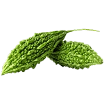 Karela