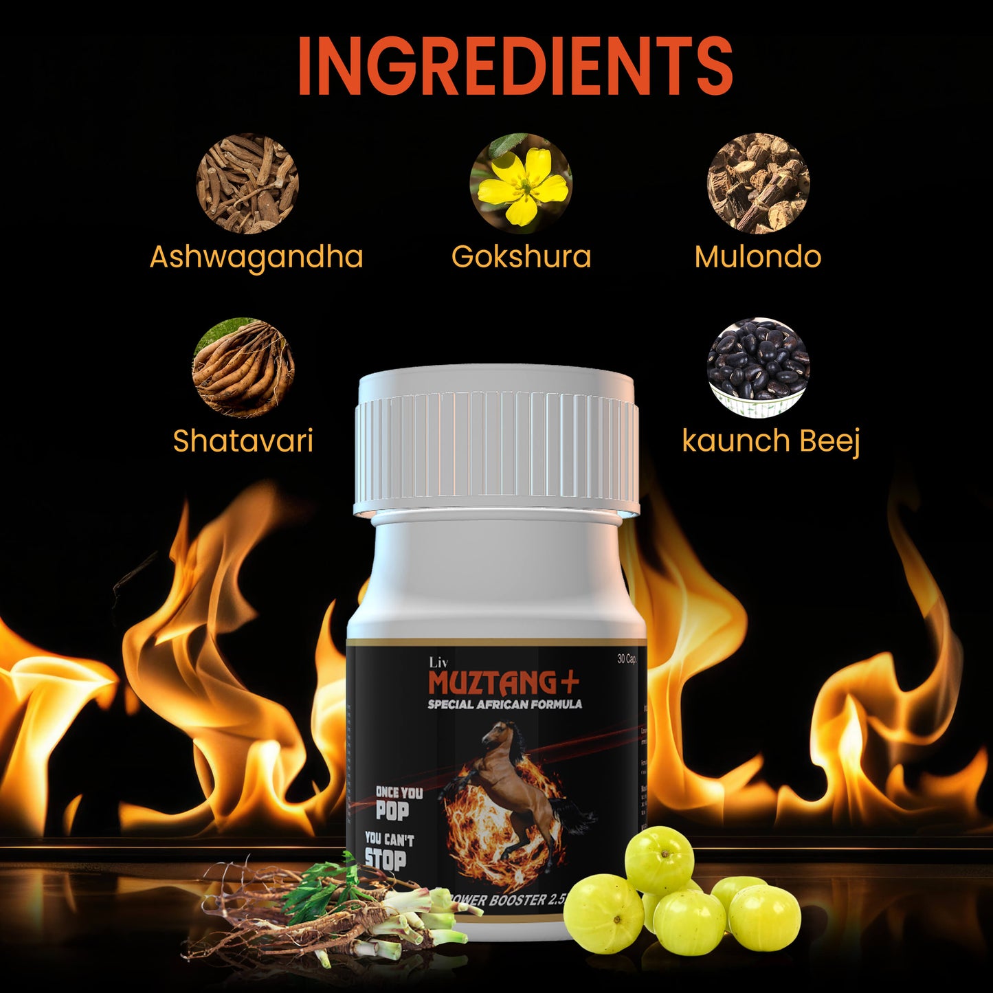 Liv_Muztang_Ingredients