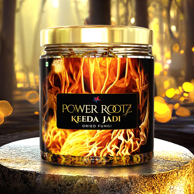 Power Rootz Keeda Jadi