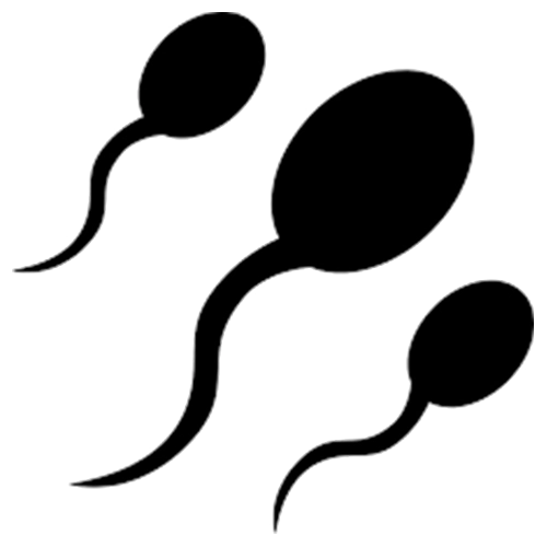 Support Sperm Health