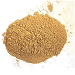 ஸ்வர்ண பஸ்மம்