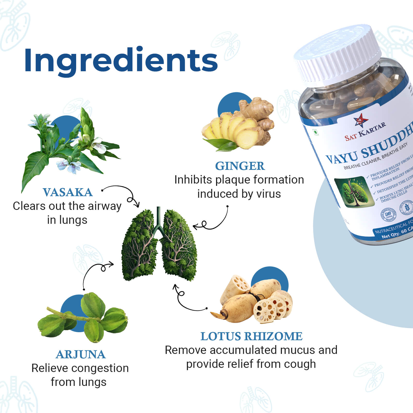 Vayu Shuddhi Breathe Cleaner Ingredients