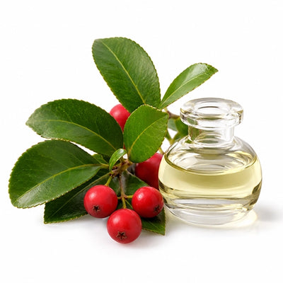 Wintergreen Oil