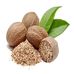 ஜாதிக்காய் 