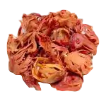 ஜாவித்ரி 